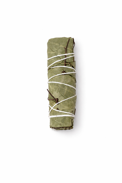 Individual Smudge Sticks