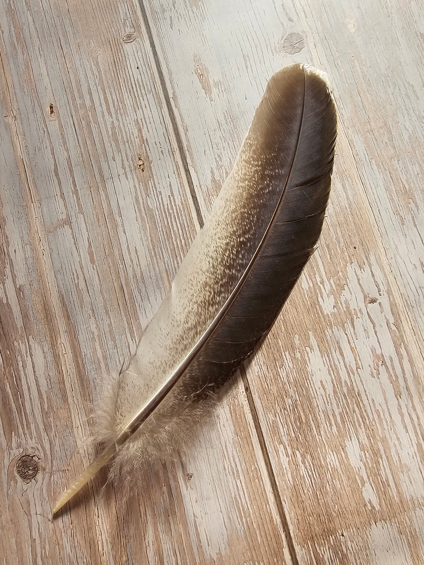 Smudge Kits