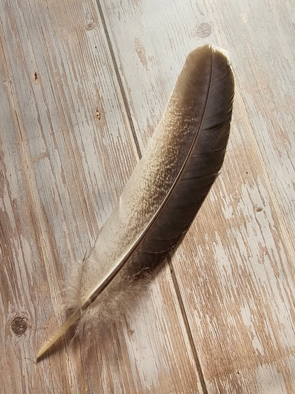 Smudge Kits